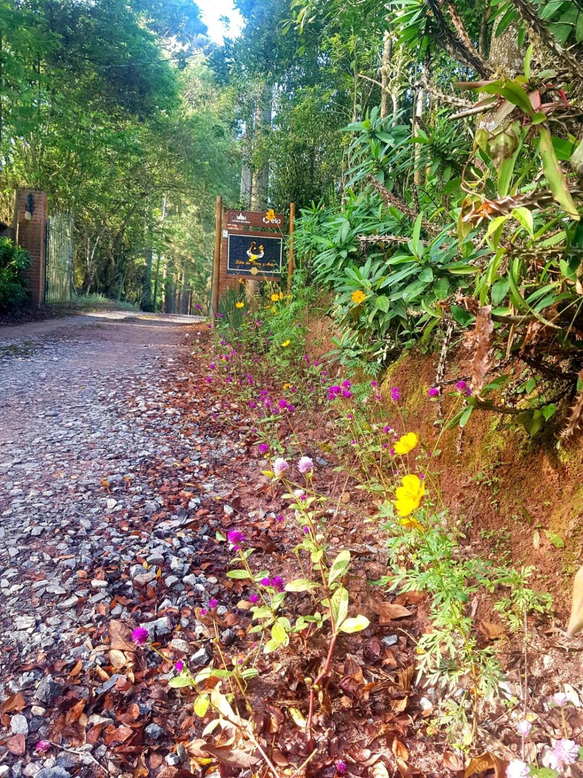 Hotel Sitio da Terra e Arte São Roque Esterno foto